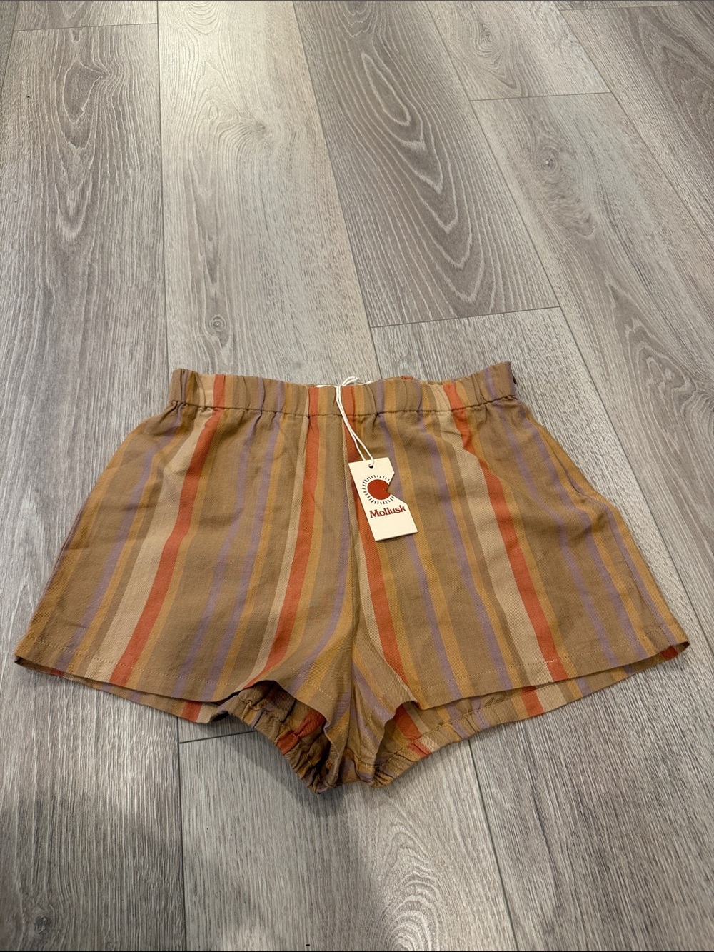 NWT Mollusk Surf Shop Cabana Striped Micro Shorts XS - Picture 3 of 4